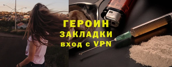 прущие грибы Дмитров