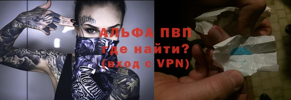 прущие грибы Дмитров