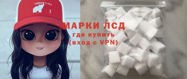 прущие грибы Дмитров
