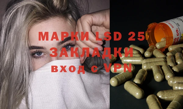 прущие грибы Дмитров