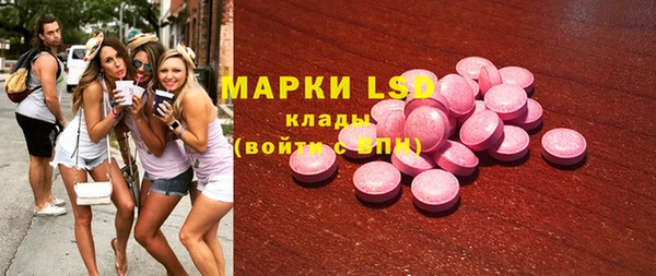 прущие грибы Дмитров