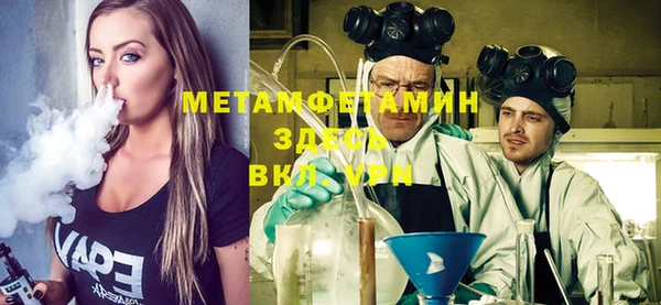 прущие грибы Дмитров