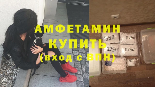 дурь Дмитриев