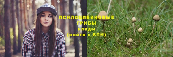синтетический гашиш Елабуга