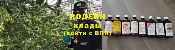 дурь Дмитриев